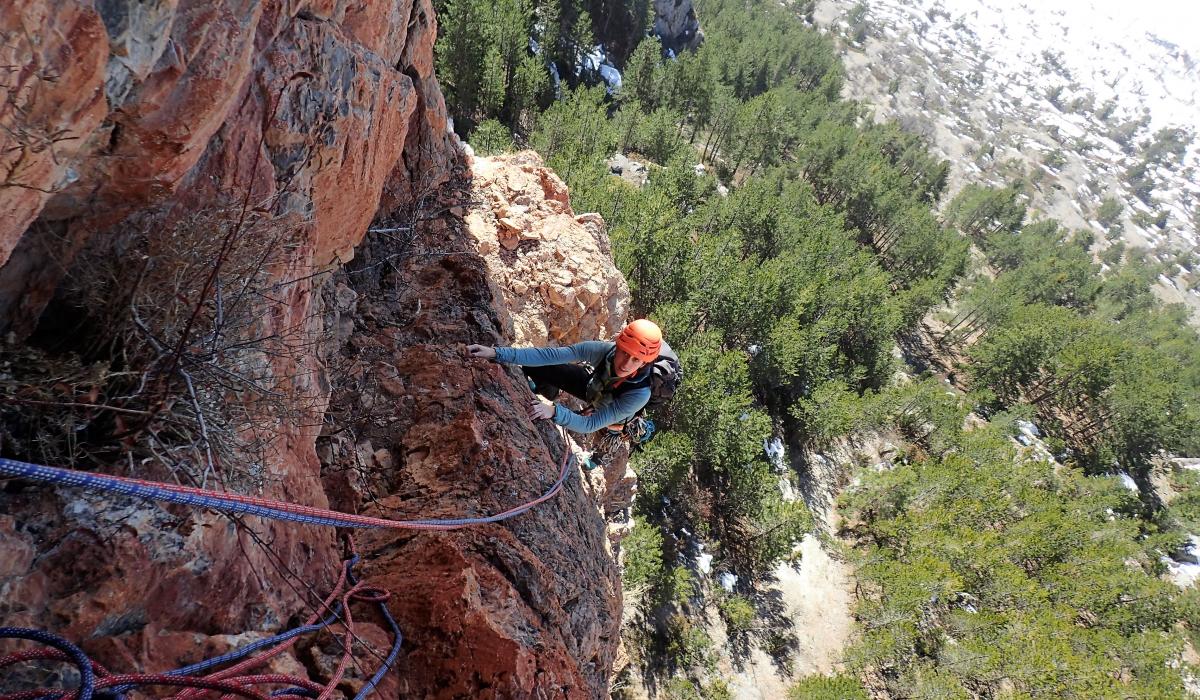 Fressiniere multipitch