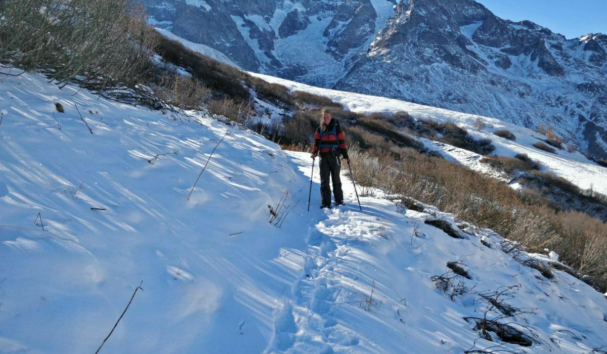 Snowshoeing